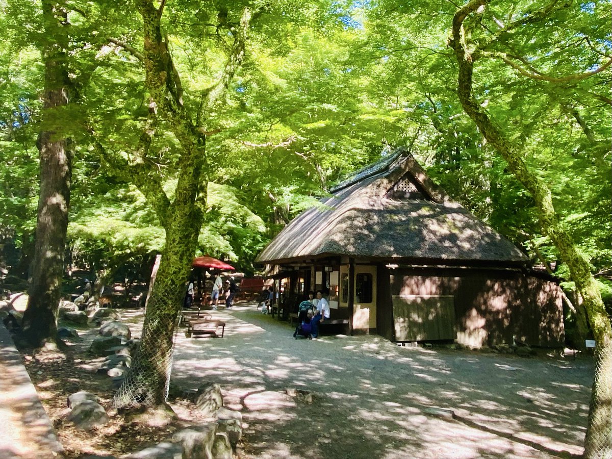 kinaco32's tweet photo. 22回目の結婚記念日
2人で奈良公園から若草山山頂へハイキング https://t.co/Fe2Sssbdoj