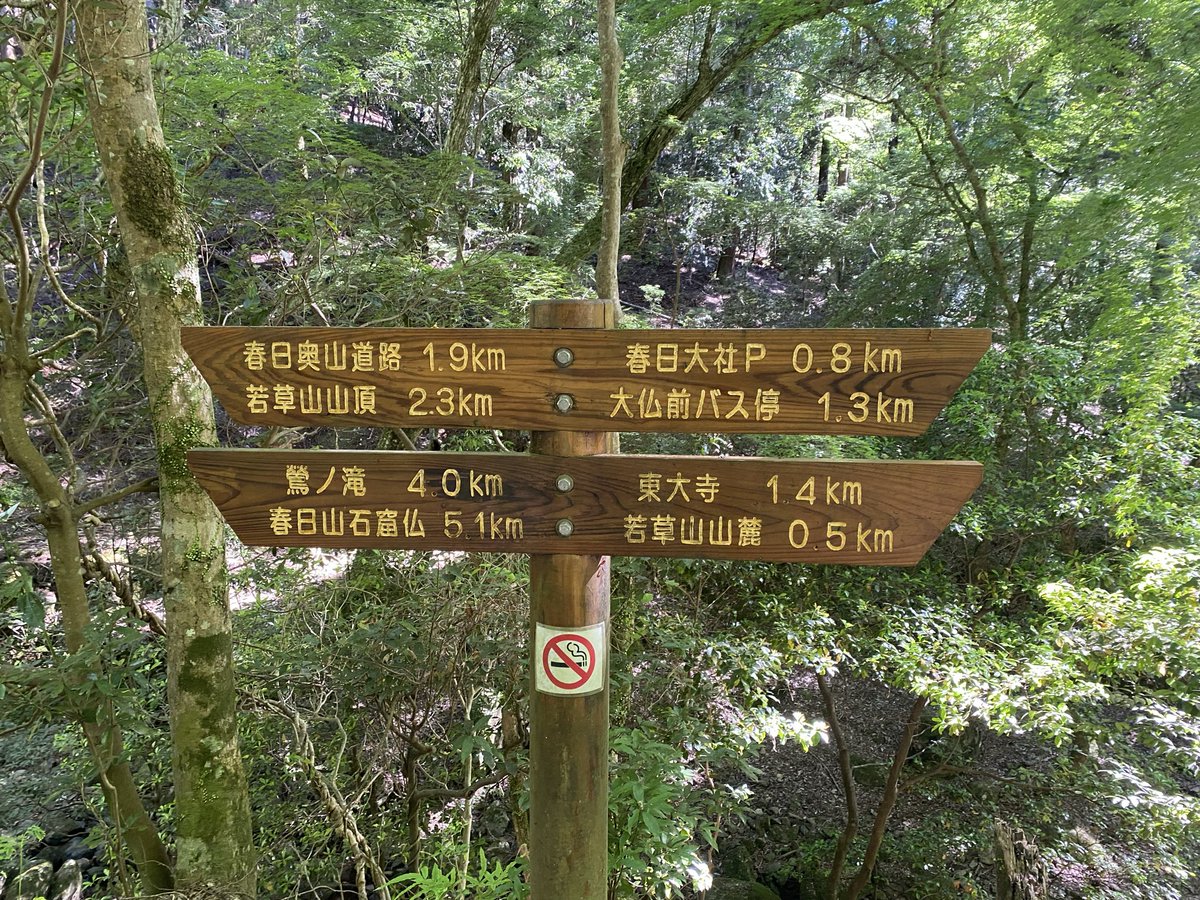 kinaco32's tweet photo. 22回目の結婚記念日
2人で奈良公園から若草山山頂へハイキング https://t.co/Fe2Sssbdoj