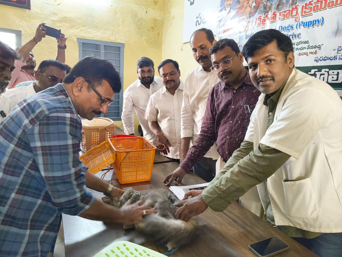 HALIYAMC's tweet photo. As per District collector Nalgonda orders Haliya Municipality Conducting Street Dogs (Puppy) Adoption Program,and also Pet Animals Vaccination Drive Conducted.@cdmatelangana @Collector_NLG @aclbnalgonda @kundurujayaveer @tksreedevi @TelanganaCMO https://t.co/dPEMv461rb