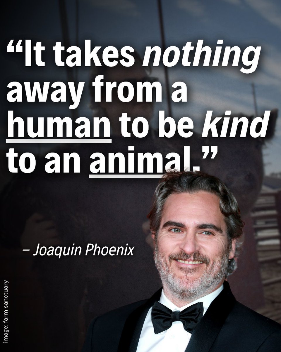 Vegan FTA tweet media