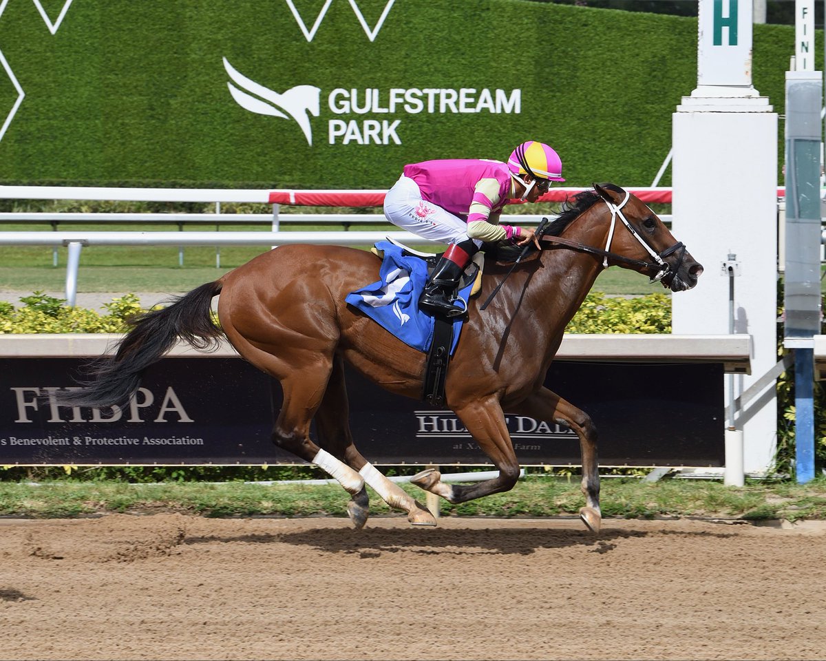LNJFoxwoods's tweet photo. Congratulations to VANDERBILT trainer @bradcoxracing jockey @zayas_edgardo and our partners @whisper_hill @Gainesway breaking his maiden @GulfstreamPark 🩷💛🤎🤍💙💛

 📸 @coglianesephoto https://t.co/kCgcE5q1Ts