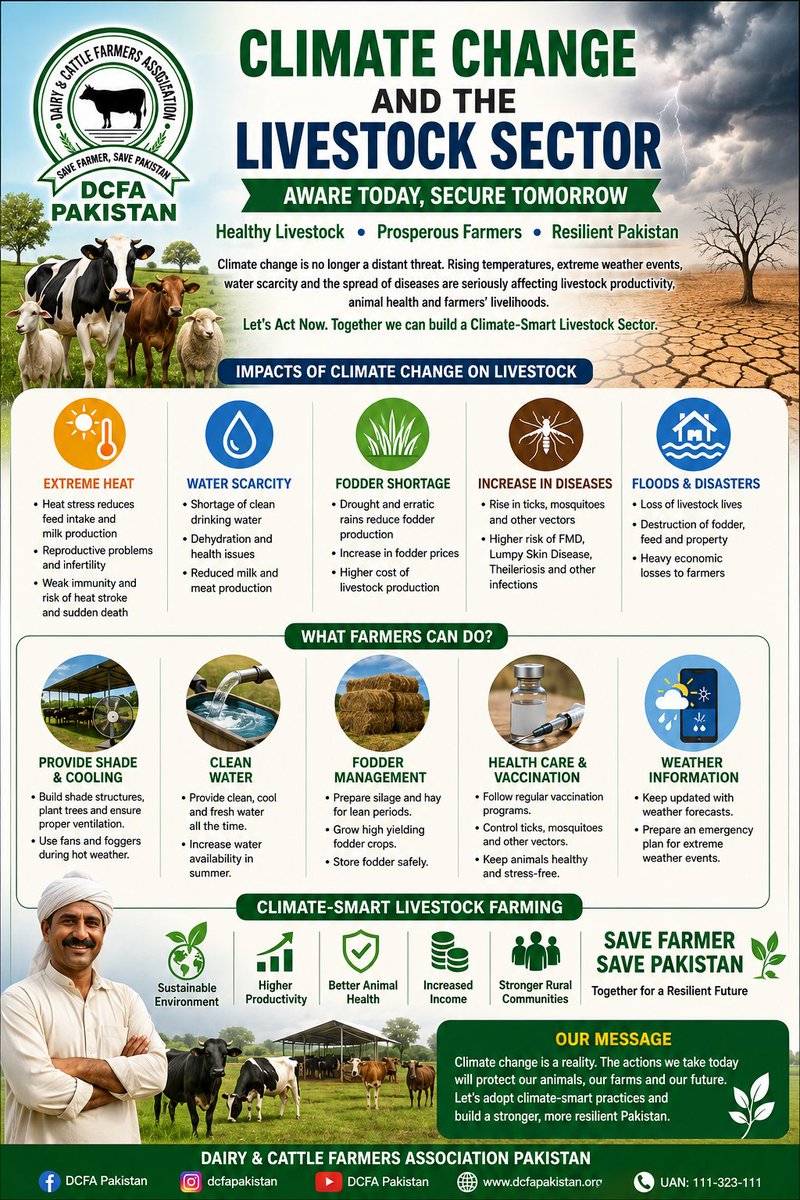 DCFAPakistan's tweet photo. Climate Change and the Livestock Sector

An Awareness Message for Farmers and Livestock Producers

Climate change has become one of the greatest challenges facing the world today. Pakistan is among the countries most vulnerable to its impacts. Rising temperatures, extreme heat waves, unpredictable rainfall, floods, droughts, and increasing weather intensity are posing serious threats not only to human lives but also to agriculture and the livestock sector.

A significant portion of Pakistan’s rural economy depends on livestock farming. Millions of families earn their livelihoods through milk production, meat production, and livestock trading. However, climate change is increasingly affecting animal health, productivity, and the income of livestock farmers.

Heat stress has emerged as one of the most serious challenges for livestock. When temperatures exceed the animals’ comfort zone, feed intake declines, water consumption increases, and milk production drops significantly. Prolonged exposure to extreme heat can lead to reproductive disorders, reduced fertility, weakened immunity, and in severe cases, heat stroke and death.

Water scarcity and prolonged droughts further aggravate the situation by reducing fodder availability and increasing feed costs. As a result, both milk and meat production decline while farmers face rising production expenses. On the other hand, floods and extreme rainfall events can destroy livestock assets, fodder resources, and farm infrastructure, causing substantial economic losses to farming communities.

Climate change is also contributing to the spread of livestock diseases. Warmer temperatures and changing environmental conditions favor the growth of disease vectors such as ticks and mosquitoes, increasing the risk of outbreaks of Foot-and-Mouth Disease (FMD), Lumpy Skin Disease (LSD), Theileriosis, and other infectious diseases.

To address these challenges, farmers must adopt Climate-Smart Livestock Farming practices. Providing adequate shade, proper ventilation, and continuous access to clean drinking water is essential. Farmers should also preserve fodder through silage and hay making, implement timely vaccination programs, strengthen biosecurity measures, and establish effective disease prevention strategies. Monitoring weather forecasts and preparing contingency plans for extreme weather events are equally important.

The Dairy & Cattle Farmers Association Pakistan (DCFA Pakistan) urges all livestock farmers and stakeholders to recognize the growing risks associated with climate change and take proactive measures to protect their animals and livelihoods. Healthy livestock, prosperous farmers, and a resilient agricultural sector are essential for Pakistan’s sustainable future.

Message

“Climate change is a reality. The actions we take today will determine the future of our livestock, our farms, and our food security. By adopting climate-smart practices and preparing for extreme weather events, we can safeguard our animals, strengthen rural livelihoods, and build a more resilient Pakistan.”

Dairy & Cattle Farmers Association Pakistan (DCFA Pakistan)

Save Farmer, Save Pakistan
@FAO — Food and Agriculture Organization
@FAOLivestock
@IFAD
@WBG_Agriculture
@WorldBank
@ADB_HQ
@UNDP
@UNEP
@UNFCCC
@CGIAR
@ILRI
@IFC_org
@IPCC_CH
@WMO
@COP30Brasil
@ClimateReality
@ClimateGroup
@ClimateChangePK
@PakPMO
@Financegovpk
@NationalFoodPK
@pid_gov
@GovtofPakistan
@USEmbIslamabad
@ukinpakistan
@GermanyinPAK
@NorwayinPak
@DutchMFA
@CanHCPakistan
@SwissEmbPak
@EUinPakistan
@ICARDA
@CIMMYT
@WorldFishCenter
@OneCGIAR
@FAO @FAOLivestock @IFAD @WorldBank @ADB_HQ @UNDP @UNEP @UNFCCC @ILRI @ClimateChangePK @NationalFoodPK