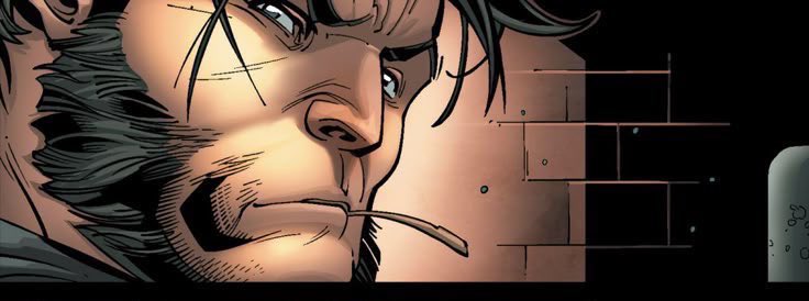 James “Logan” Howlett tweet media