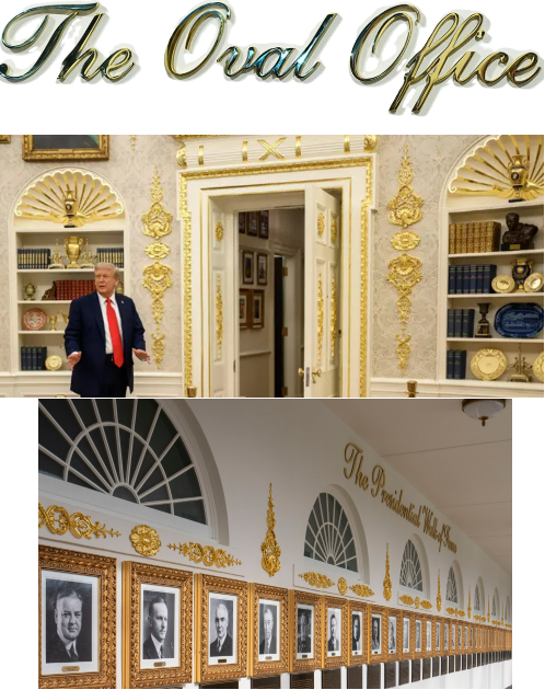 GumptionBaba's tweet photo. @Kaily_Bear @CarlHigbie Enjoy this at zero $$$ to tax payers... Talk about love for this country ❤️ https://t.co/2p1VAsXWYd