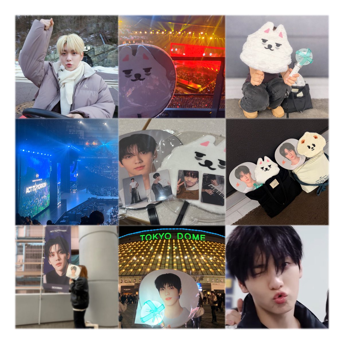 とりち🐔 tweet media