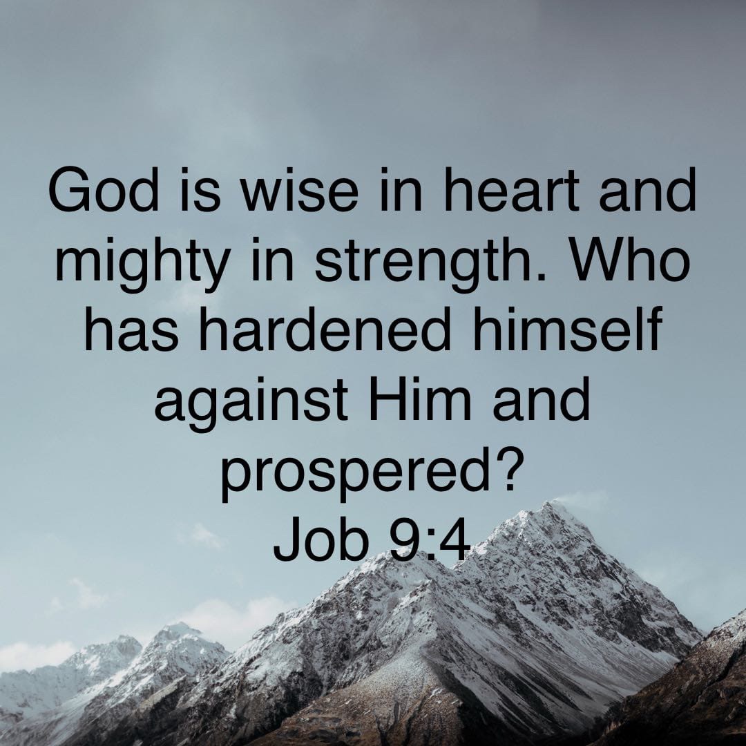 tweets_mb's tweet photo. #Heart #Mighty #Prosper https://t.co/Fq2tQYZ0JL