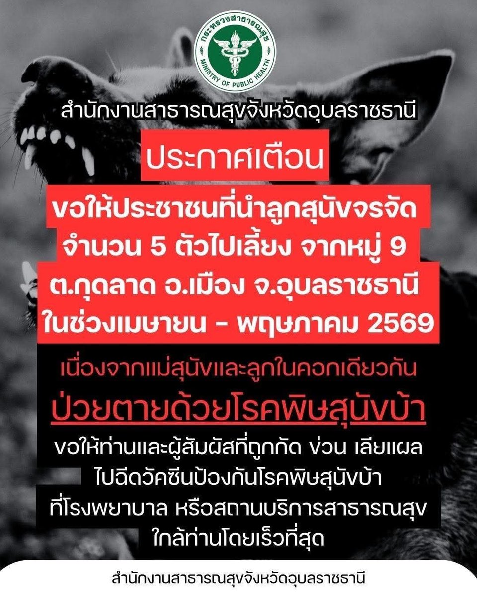 NPC ธรรมดา tweet media