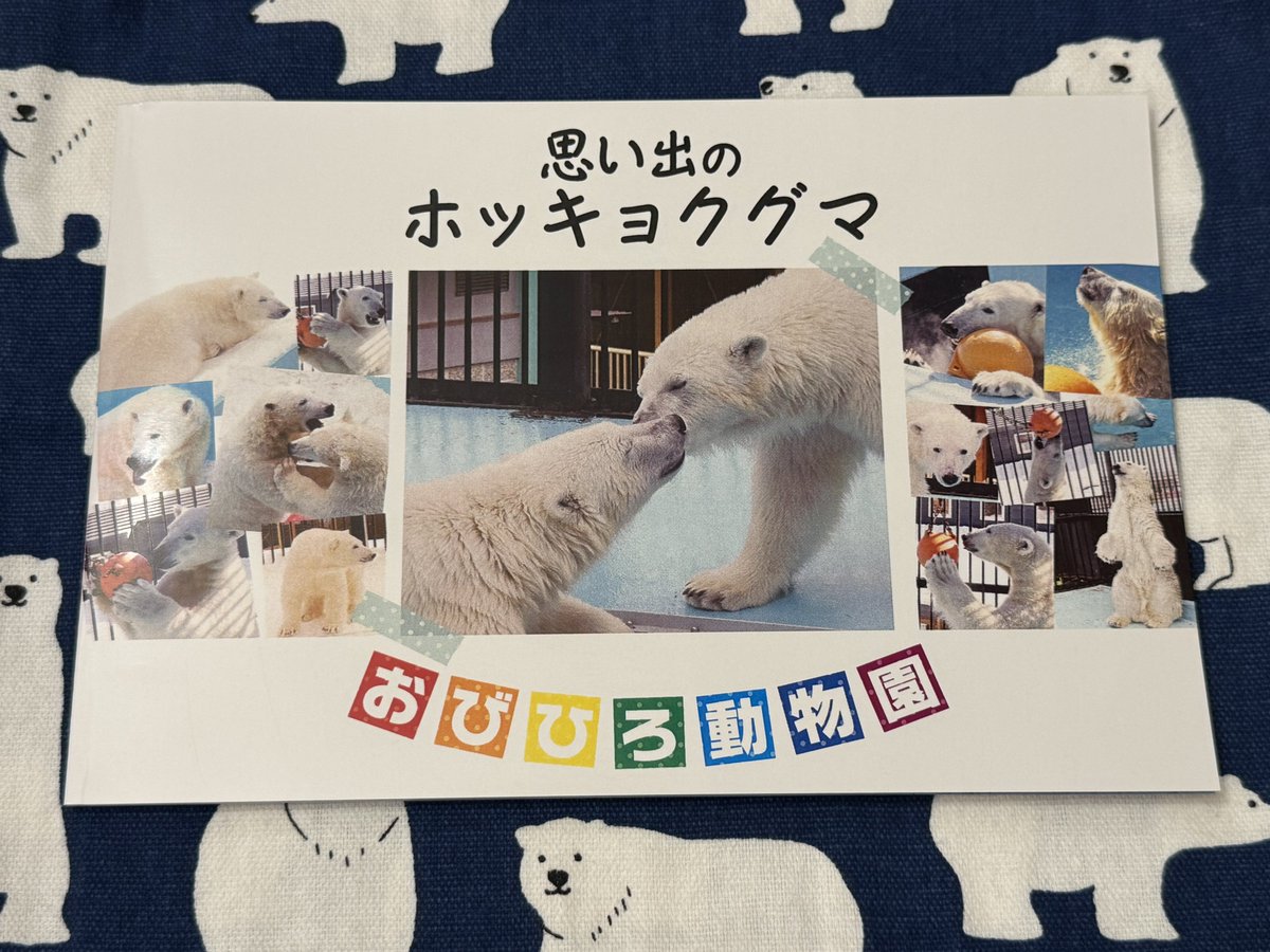 1209moco's tweet photo. どこの園でもグッズはいっぱい買ってるけど、あまりに素敵なグッズを見つけたのでご紹介🤗
おびひろで過ごした🐻‍❄️(サツキ、ピリカ、イコロ、キロル、アイラ)が載っている写真集です！
おびひろへ行った際は是非😉 https://t.co/ih0w7BhXAQ