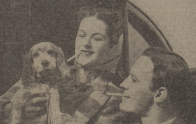 ShedCase's tweet photo. From an old cigarette advert, did dogs smoke back then?  Looks like he's going to cave into peer pressure https://t.co/AdXddRzVnu