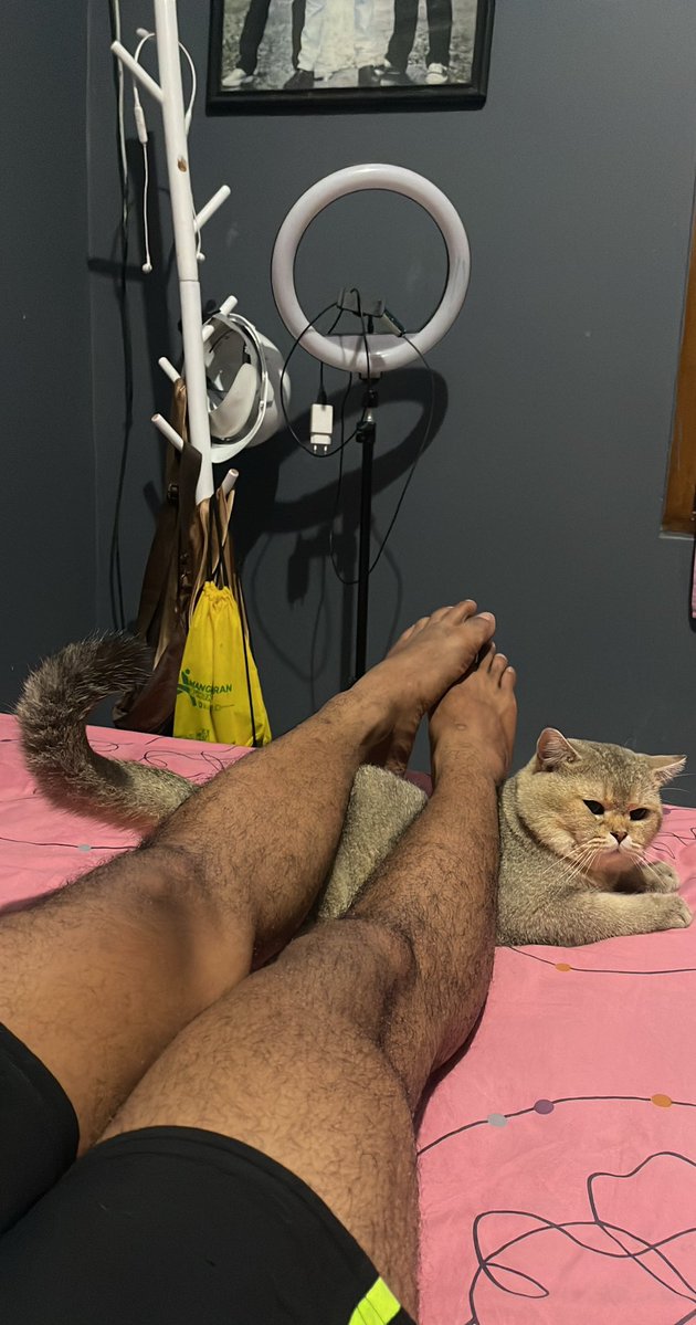 Delusi01 tweet media
