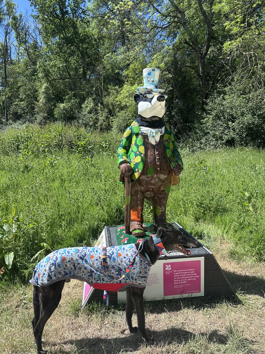 DukeHound16's tweet photo. Had a lovely day out, bit hot at times but we found a shady walk too at Woodchester Park &amp; found 12 Wind in the Willows sculptures. Had ice cream in the cafe afterwards which provided entertainment for the customers watching a hound eat ice cream without lifting their head. https://t.co/22FIzciRWP