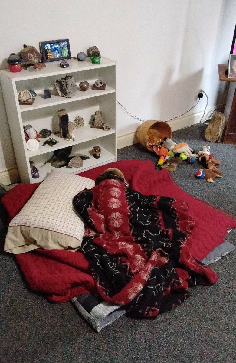 BPawlyshyn's tweet photo. At grandparents for the weekend. I can tell you that I am spoiled rotten and run this house like it’s my own! 😈🤣🤣❤️🐶 https://t.co/1YpIl7cihJ