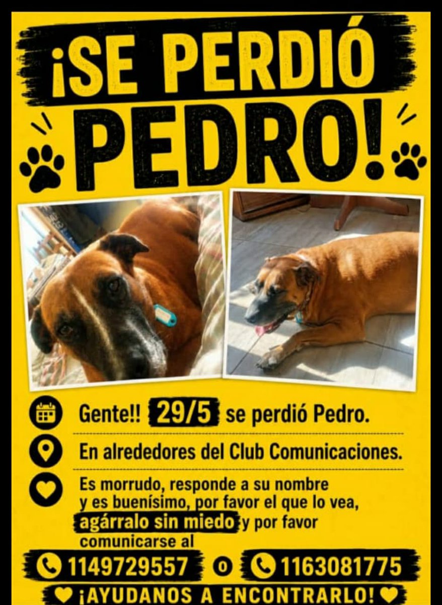 patripeyrou's tweet photo. Difundimos https://t.co/7hrG0aChTY