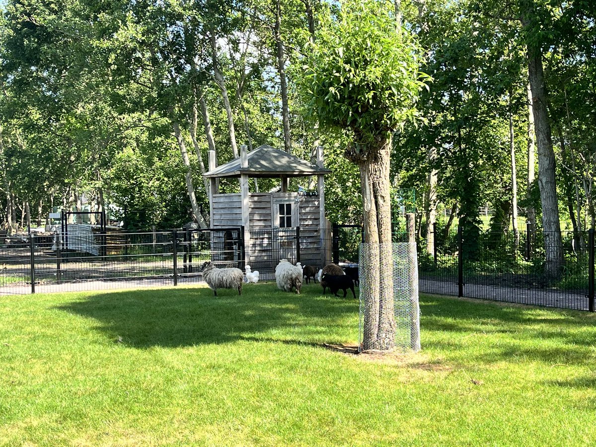 SGPOldebroek's tweet photo. Vandaag was de opening van de kinderboerderij ‘de Bovenweide’ bij het Boerderijmuseum.

Prachtig wat al deze vrijwilligers hebben neergezet!

#Oldebroek #kinderboerderij https://t.co/6N37h8EO2O