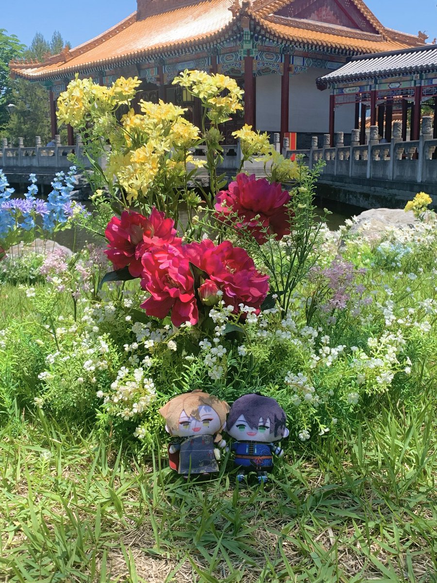 kotecha02's tweet photo. お花の妖精さんなトガ https://t.co/7q21RlFA2n