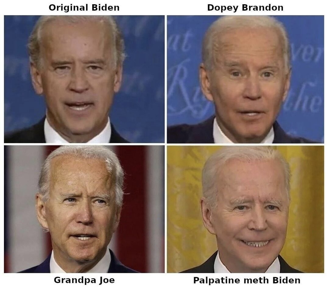 Steve 🇺🇸 tweet media