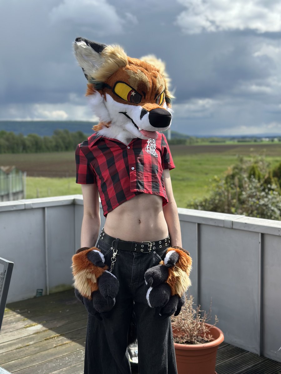 The Fox Nest tweet media