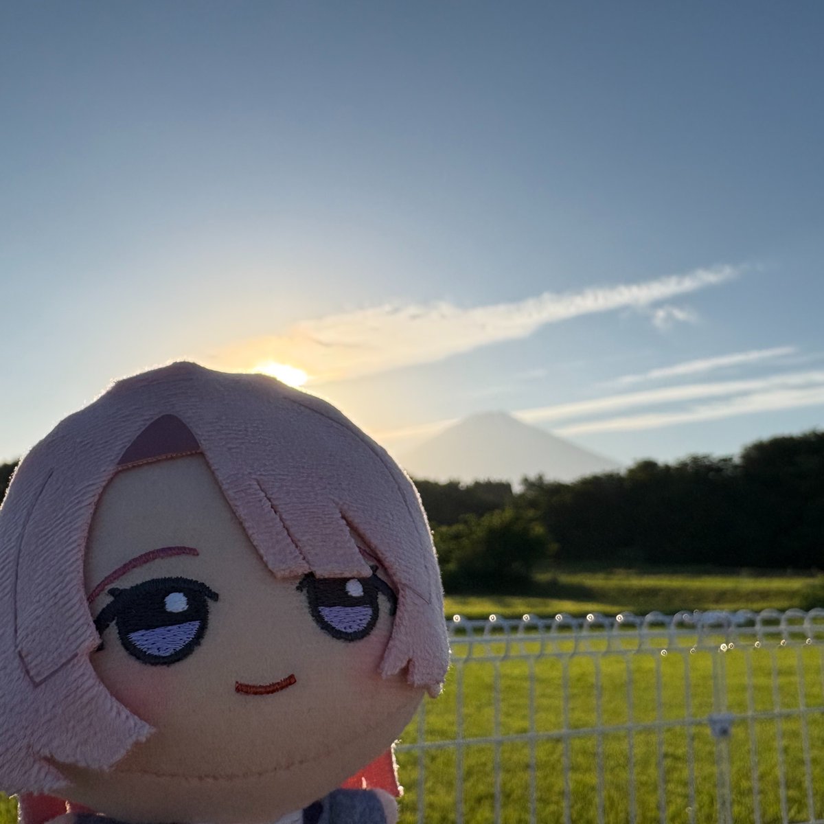 ずざい tweet media