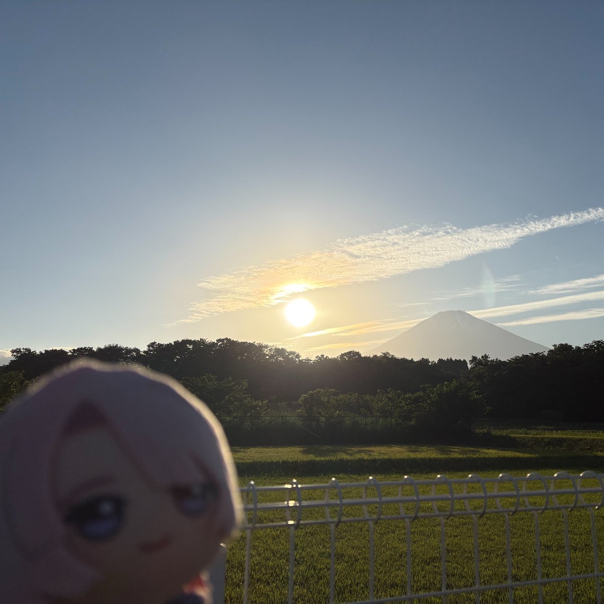 ずざい tweet media