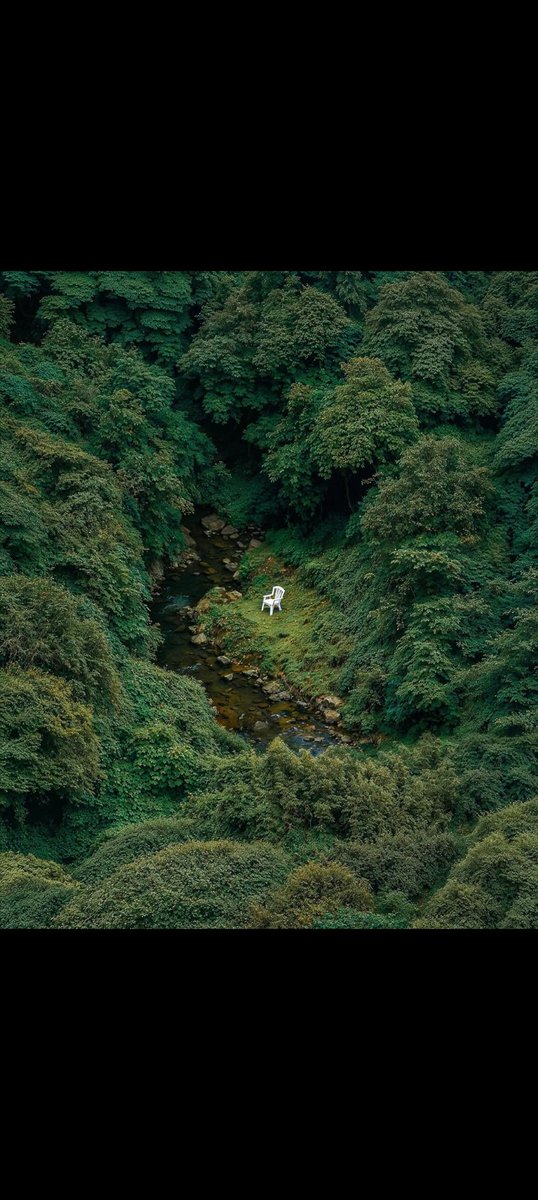VISHAL653858412's tweet photo. #NatureTherapy #ForestEscape #SolitudeIn the heart of a lush, untamed forest, where emerald canopies whisper ancient secrets and a gentle stream carves its path through the rocks... sits a lone white chair. https://t.co/fwUgBbiYf2