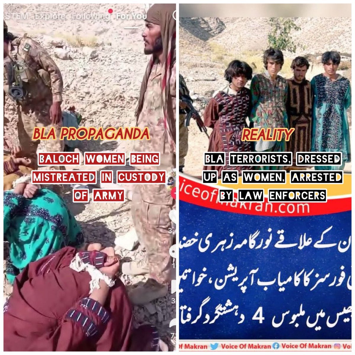 Nadia Mirza tweet media