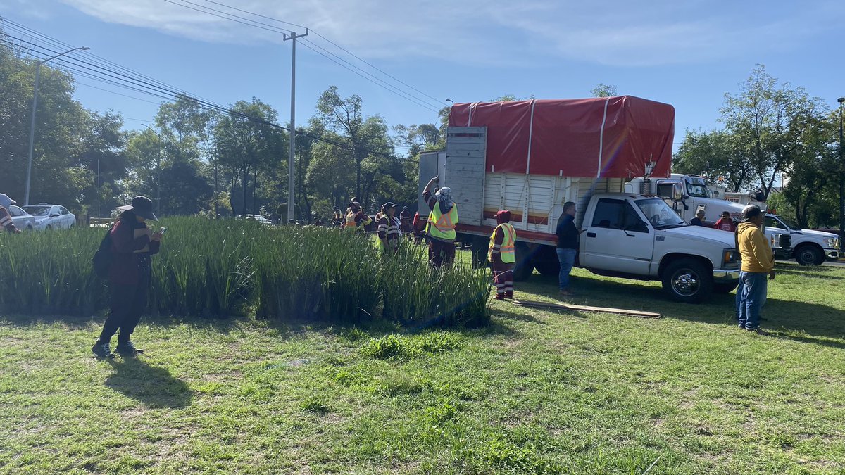 rutamex68's tweet photo. Desesperados por la situación de la Ruta de la Amistad, MEXICO68. Ahora por el mundial siembran una cantidad brutal de plantas ¿quien las va a mantener pasado el evento? Ambulantes, vagabundos, grafiteros, anuncios, sembrados inoperantes cero mantenimiento  @SOBSECDMX  !Ayuda! https://t.co/BOXn3oh2EJ