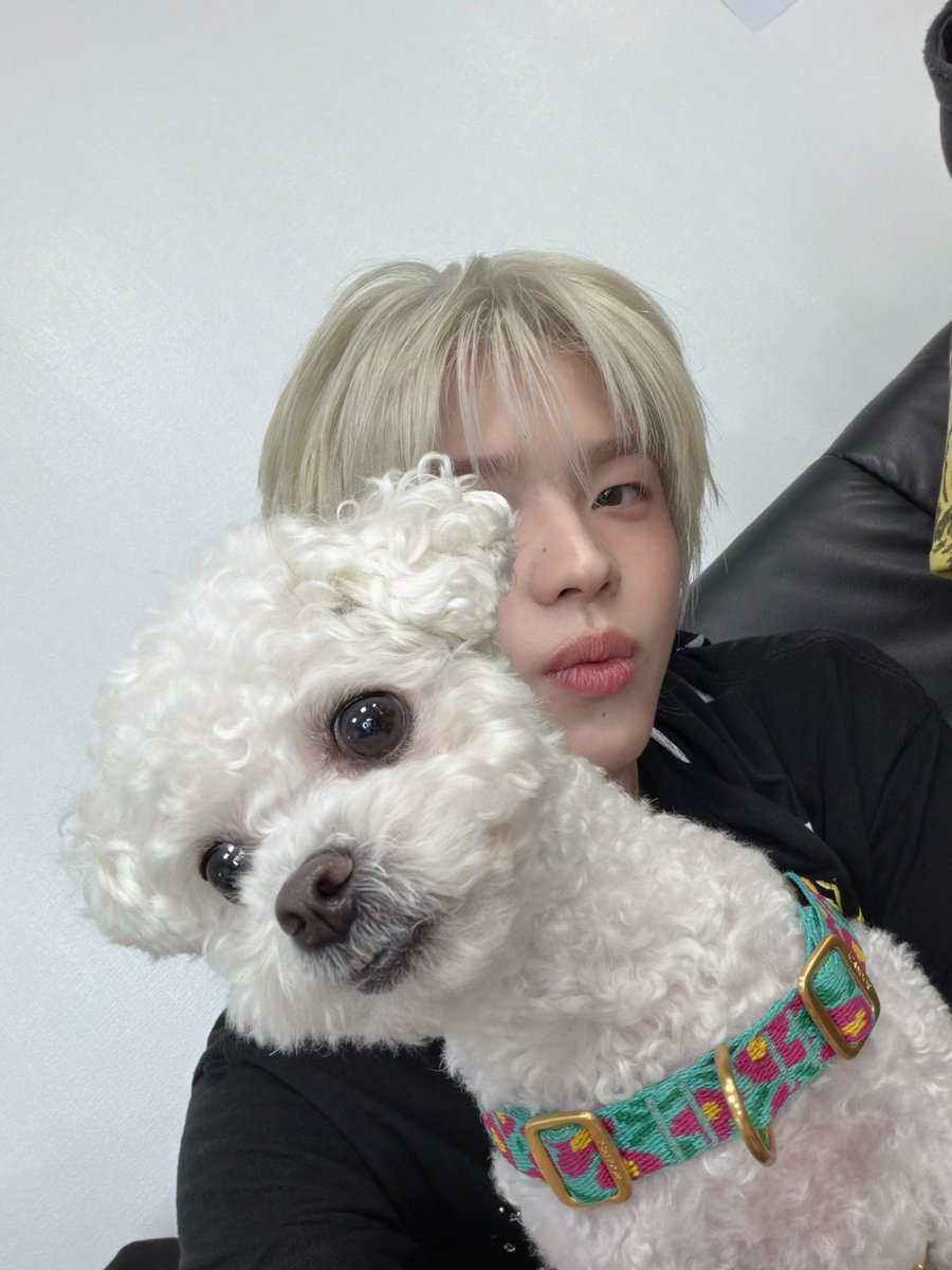 SHlNYU_'s tweet photo. @carmennitaa https://t.co/yj3ThFmMBN