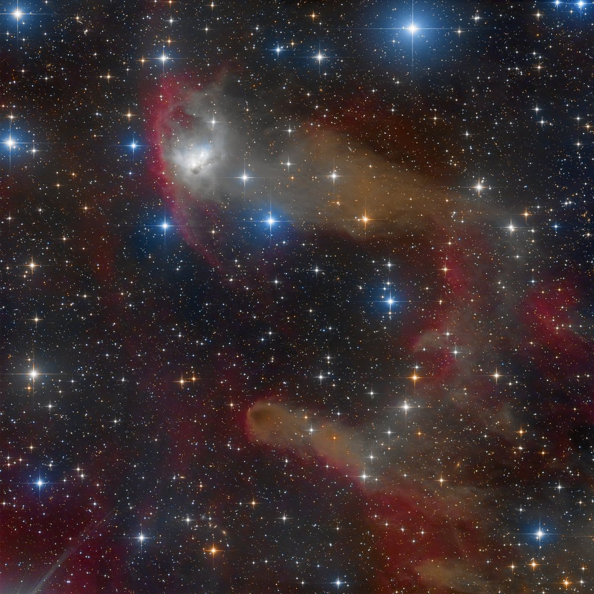 LeeAnneGibbon1's tweet photo. NGC 1788 is a fine reflection nebula located about 3,000 light years away in Orion the Hunter. Sharply defined on its southwest perimeter by the dark nebula, LDN 1616, this beautiful cosmic nursery is often overlooked in its lonely corner of the Hunter. 📷 Mark Hanson #NGC1788 https://t.co/1lHu001FPM