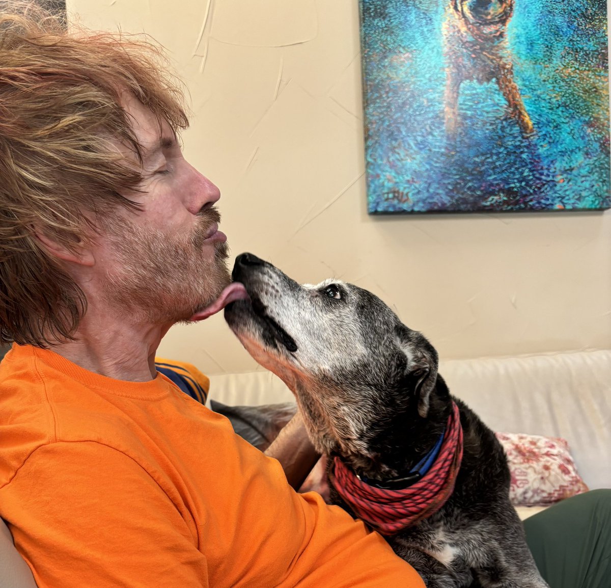 SoulManKeith's tweet photo. Coco seems to have appreciated my spending all day with her yesterday while the roofers were raising a ruckus. https://t.co/6KCCM5ZfqI