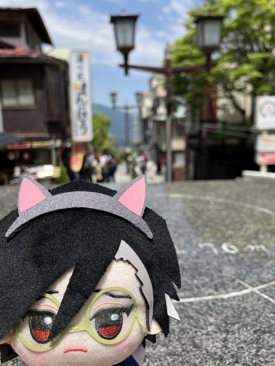 鯖の味噌煮込み這子 tweet media