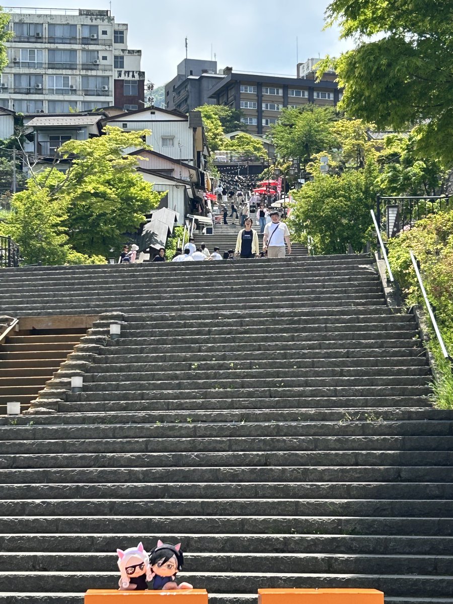 鯖の味噌煮込み這子 tweet media