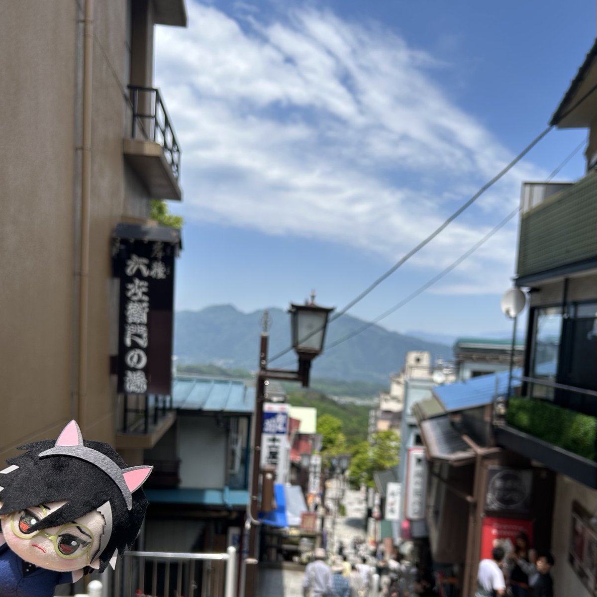 鯖の味噌煮込み這子 tweet media