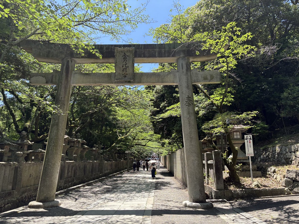 トウマ tweet media