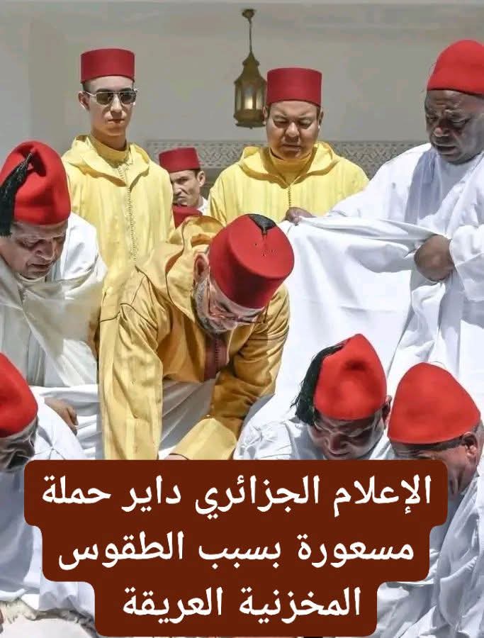 سيف الدين tweet media
