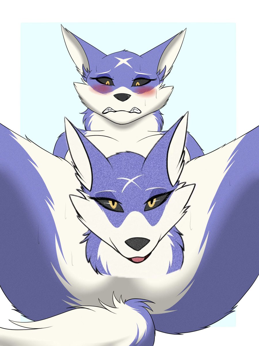 MoFuMoFur tweet media
