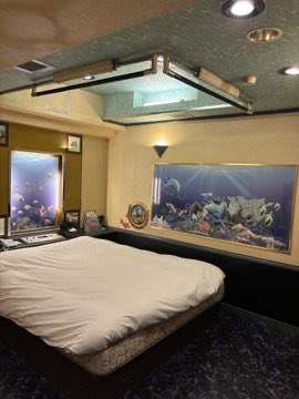 first_inn's tweet photo. SBI舞花火 in 千葉・稲毛海浜公園 LIVE花火ショーの音が自宅まで聞こえてきます。
現在混んでますが、終了後には当ホテルでお寛ぎください。

ホテルファーストインでは、いつでも通常料金でタイムシェア制を楽しめます！

ご予約は承っておりません。
空室状況はお電話でお問い合わせください。 https://t.co/mAX7h1Exh9