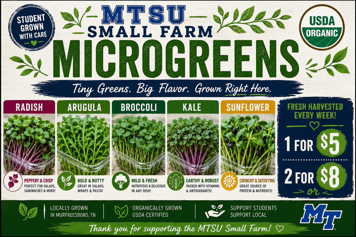 MTSUNews's tweet photo. Rise and shine! ☀️ The Saturday Market in downtown Murfreesboro runs from 8 a.m. to noon each week. Don't miss a chance to support the MTSU Small Farm products. #smallfarm #mtsu #farmersmarket https://t.co/EIkG3Kq239