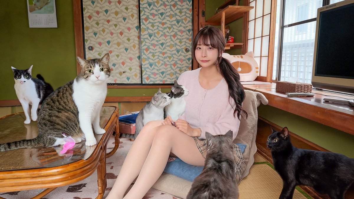 SUZUKIYUUKARIN_'s tweet photo. 伊豆にある猫旅館に泊まってきました🐱

https://t.co/iCuMyP9Utk https://t.co/v0w4gIs8Mt