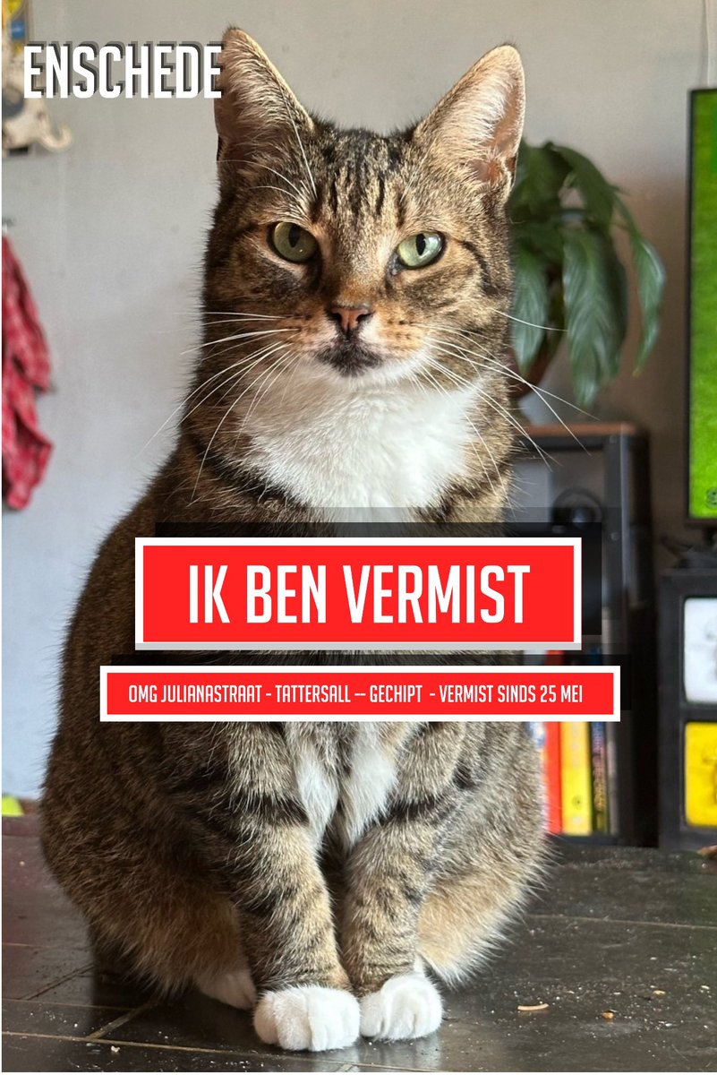 DieTukkerfries's tweet photo. Mevrouw de Vries wordt nog altijd vermist. 

Enschede, omgeving Tattersall, Kremersmaten, Polaroid-terrein, Bothoven, Binennstad oost.

Graag zo veel mogelijk delen. https://t.co/OpE7RxTdtx