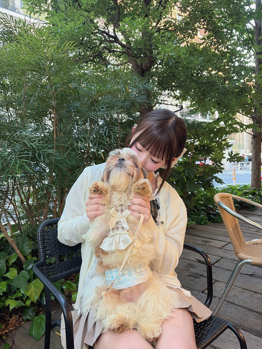 琴雛ひな(こひなひな) tweet media
