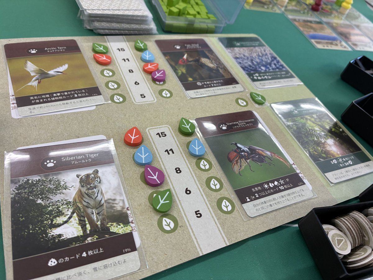 54BckqQNZh7sZpC's tweet photo. 今日は一宮カメ止めボードゲーム会。
パラグリフ
おきざり島のバイキング
アース
キュウリカタストロフィ https://t.co/JjPpDxwl9E