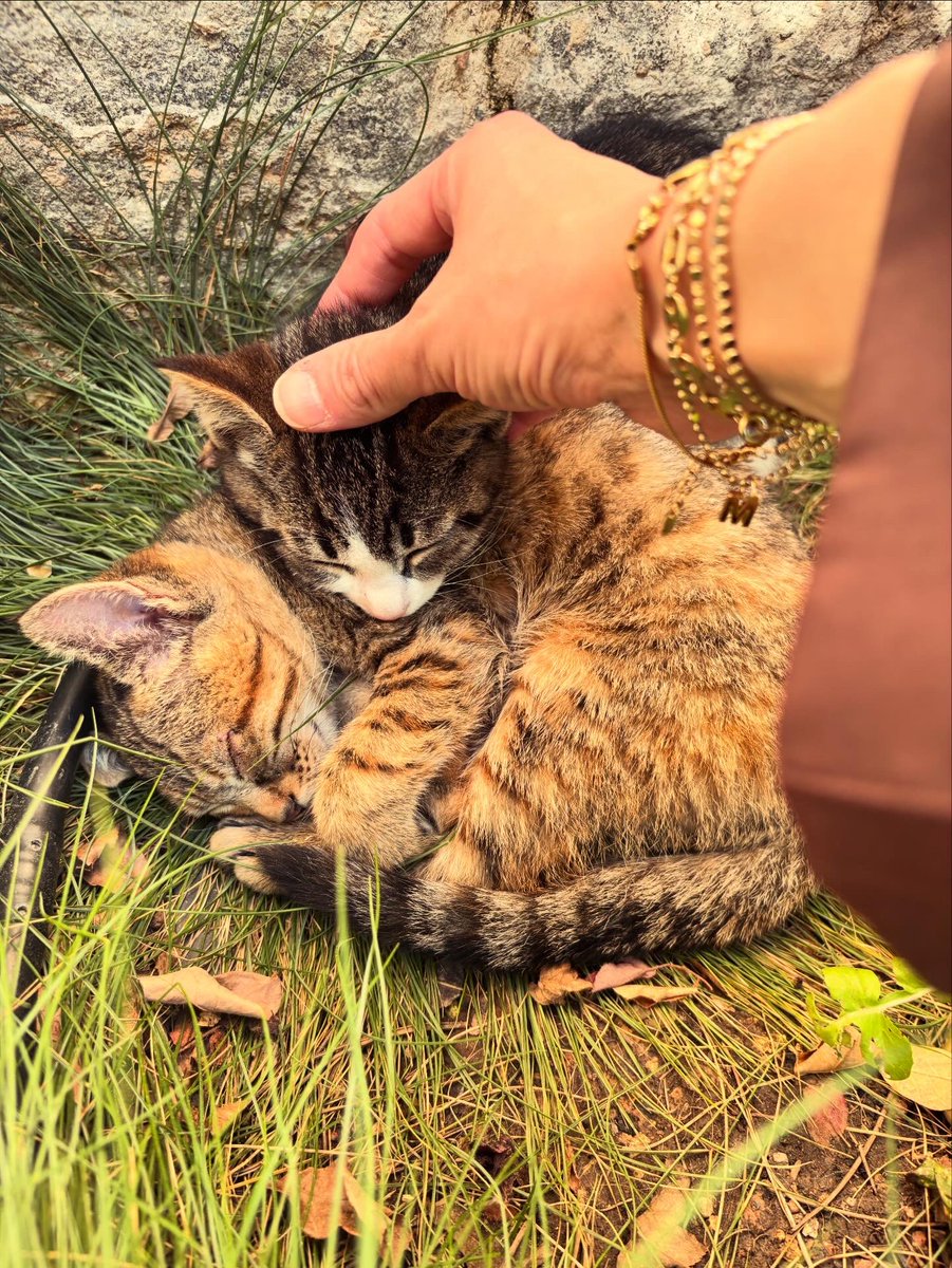 bercesteikalem's tweet photo. “Kendi hayatımı güzelleştirmenin peşindeyim …🌸” https://t.co/BgkuLpJZxX