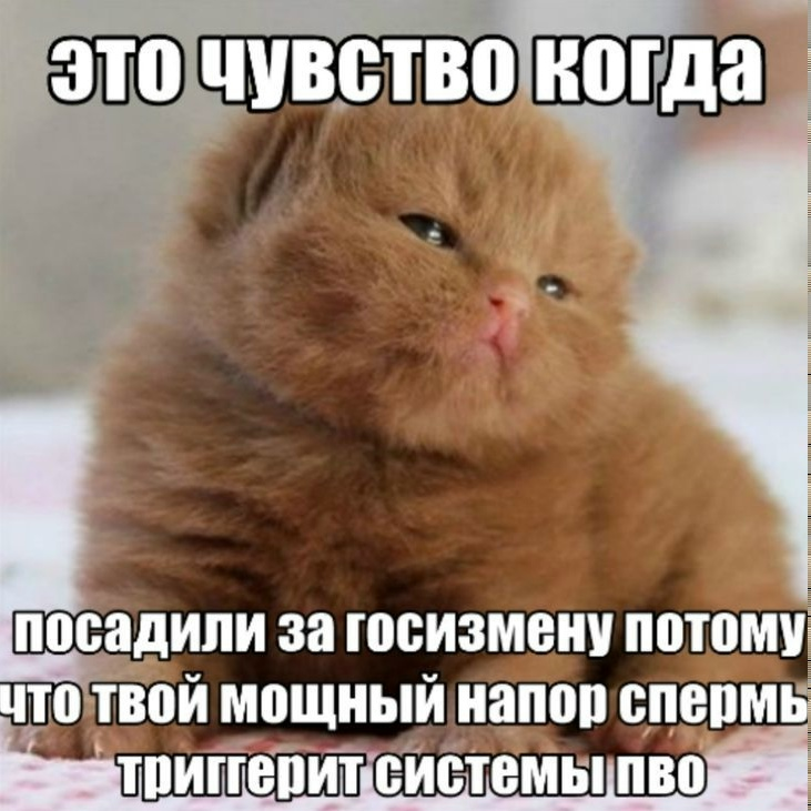 iesekiel's tweet photo. сука) https://t.co/mCLEB8a7aN