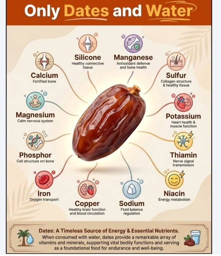 UpgradYourseIf's tweet photo. Only Dates and Water https://t.co/K6NgCjtQZm