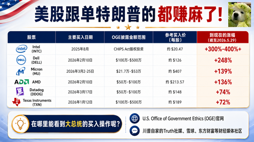努力赚钱的菜狗 tweet media