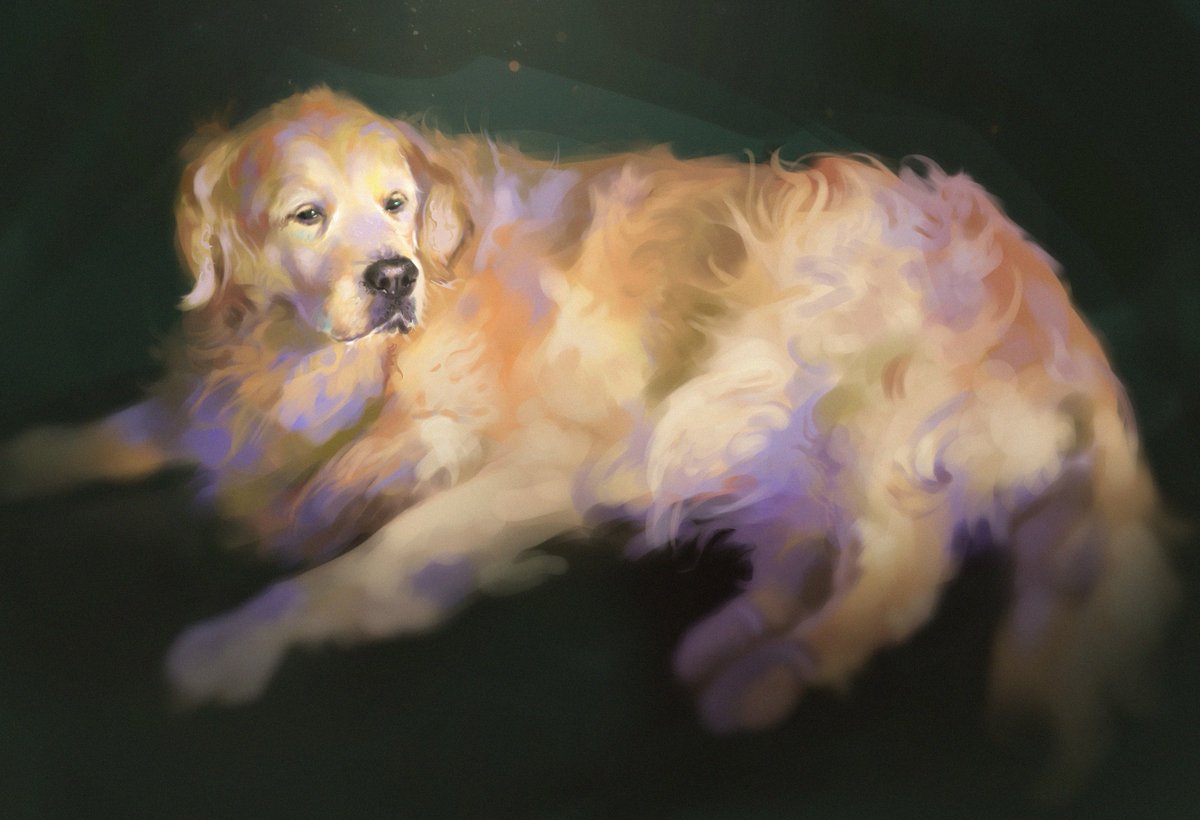 Nosoriart's tweet photo. my doggy https://t.co/AkIZjKYKQe