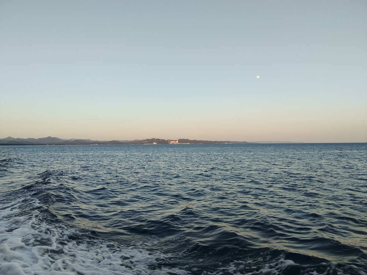 ktsuzuki7's tweet photo. 今回初めてイサキ　バチコンへ挑戦してきました。日ムラありありらしく、昨日はサッパリだったそうで…😅序盤は、案の定、カスリもせずでしたが、時合に入ったら、ポロポロとアタクシにも釣れましたが、バラシ多く、もうちょっと数伸ばせたのにな…残念…😣
#イサキ　バチコン https://t.co/iojKNoc9fc