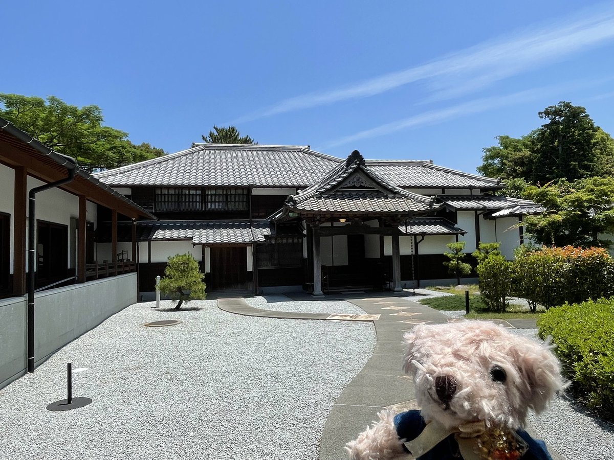 元シャチの冒険➡︎今はカルルの新しい冒険。 tweet media