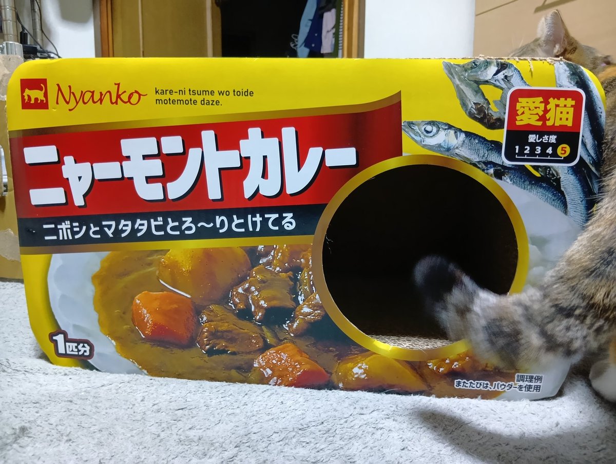 tamacidman's tweet photo. ニュー爪とぎハウス買いましたお https://t.co/twjIRpL4Mw