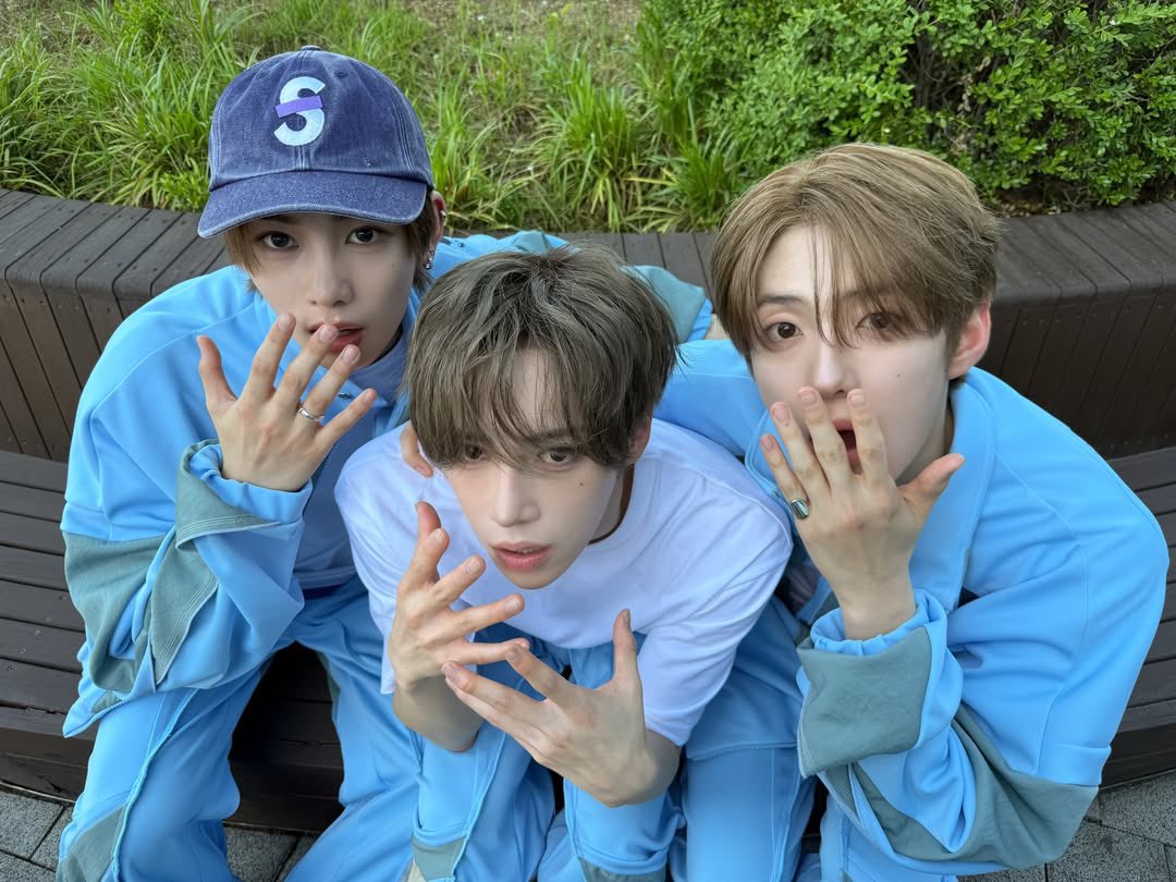 톨 tweet media